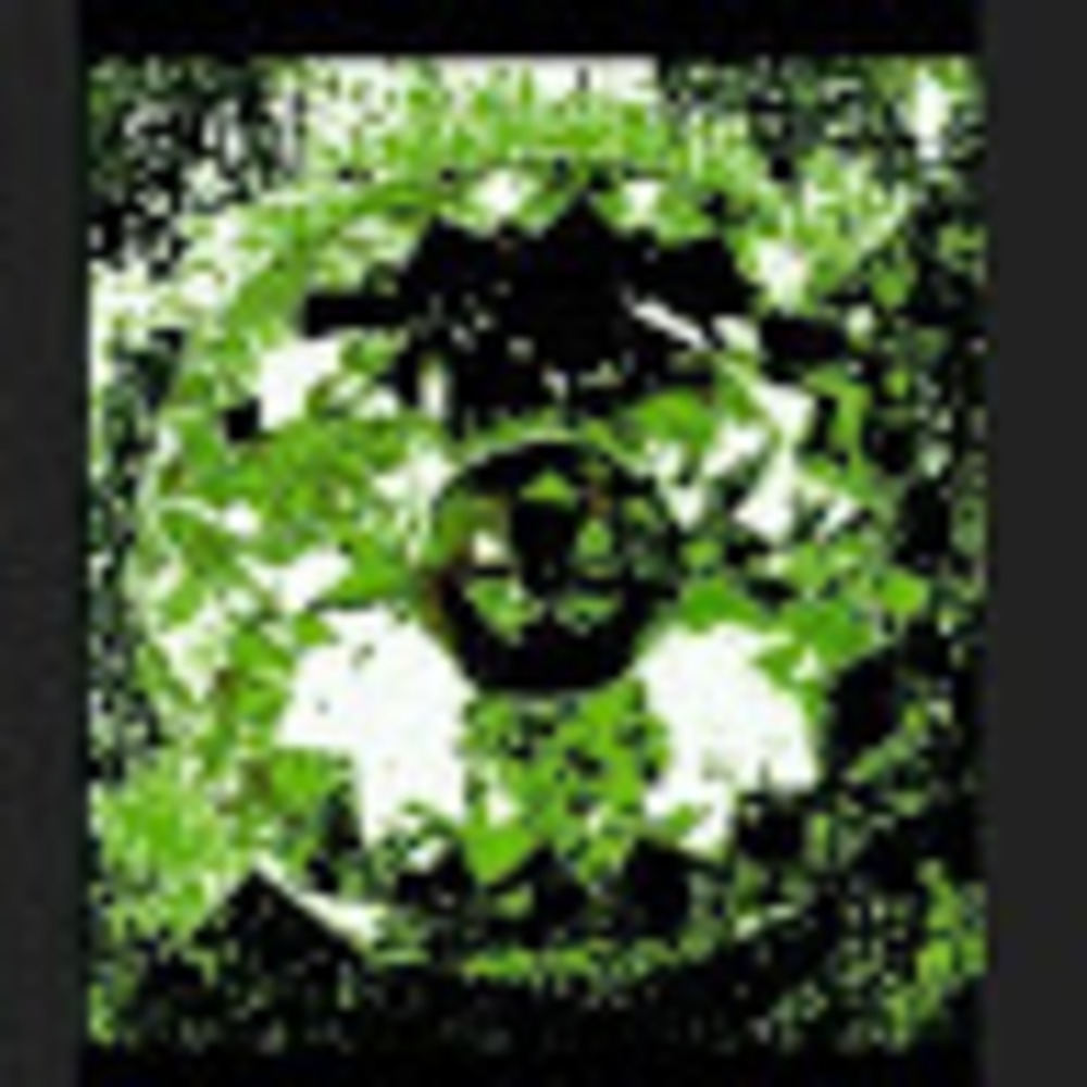 Meet your Posher, Lggem